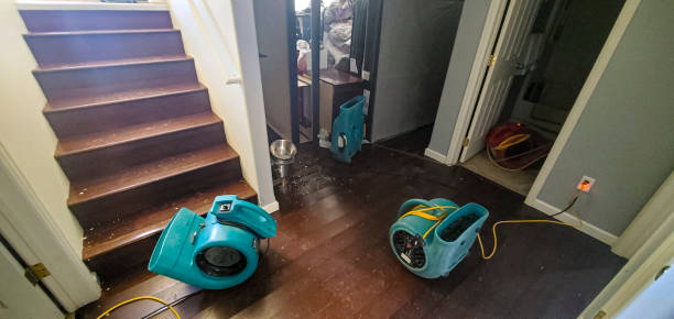 Best Flood restoration services  in Fox Crossing, WI