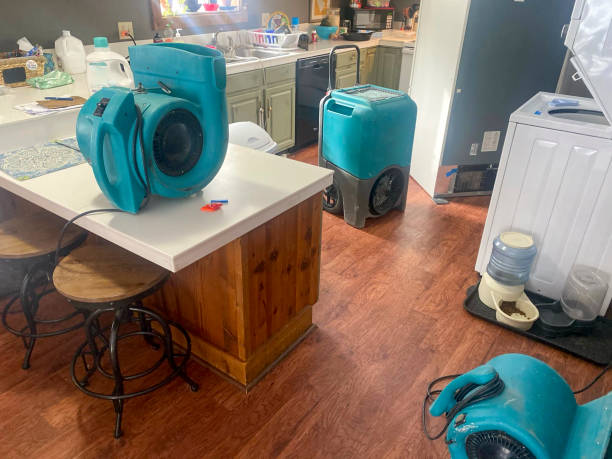 Best Professional water damage repair  in Fox Crossing, WI