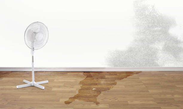 Best Water damage restoration near me  in Fox Crossing, WI