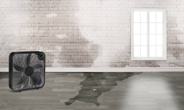 Best Emergency water damage restoration  in Fox Crossing, WI