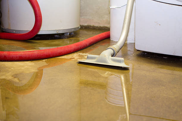 Best Local water damage restoration  in Fox Crossing, WI