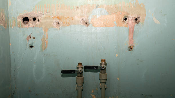 Best Ceiling water damage repair  in Fox Crossing, WI