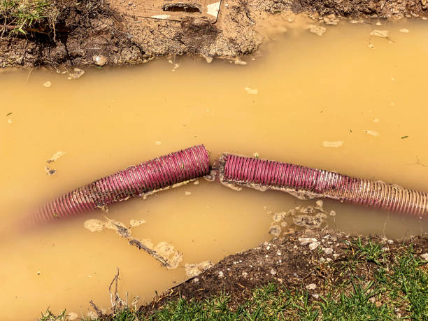 Best Water damage restoration experts  in Fox Crossing, WI