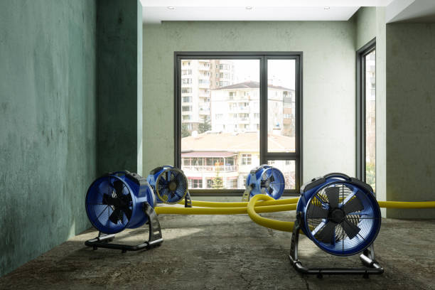 Best Residential water damage restoration  in Fox Crossing, WI